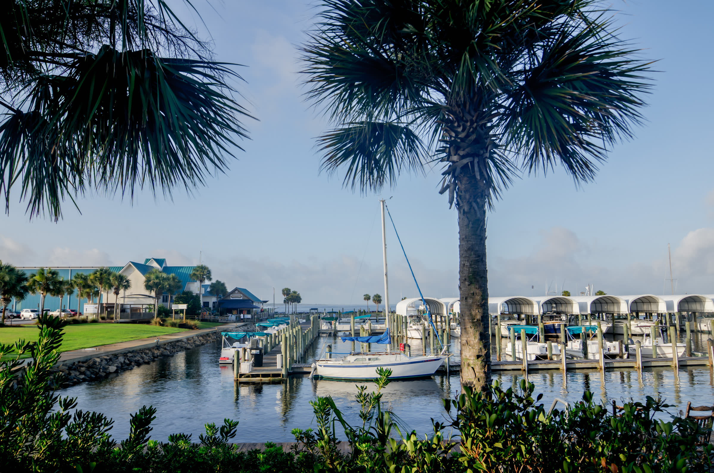 Sailboats and covered slips at the Port St. Joe marina, framed by palms